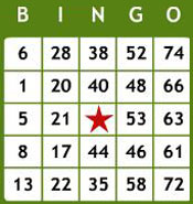 Classic bingokaart