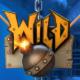 Wildsymbool Boom Brothers
