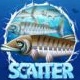 School vissen scatter
