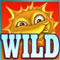 Wildsymbool