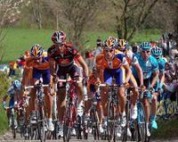 Amstel Gold Race